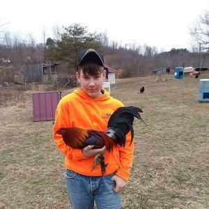 Meet your Posher, Hunter